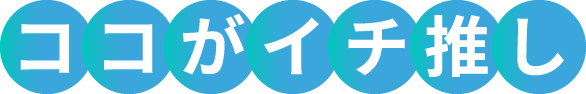 ココがイチ推し