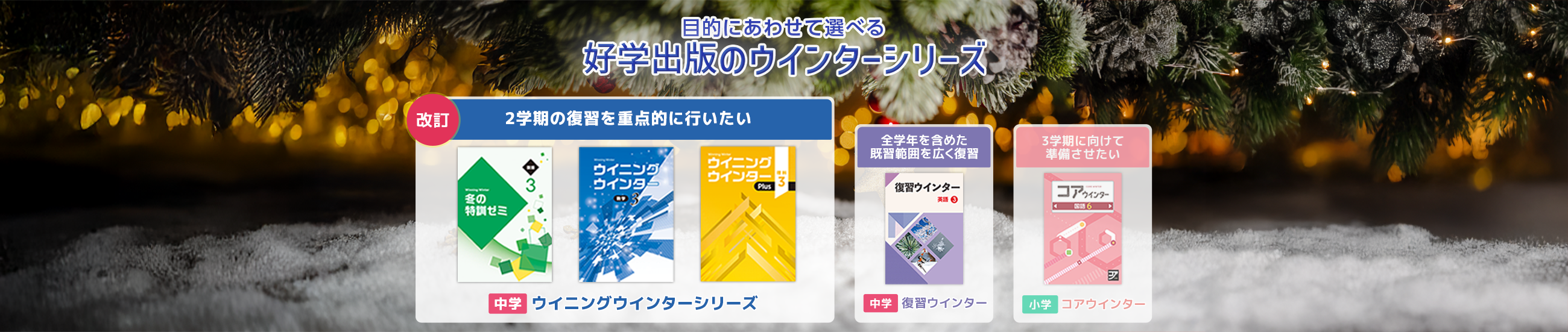 ウイニングウインターシリーズ