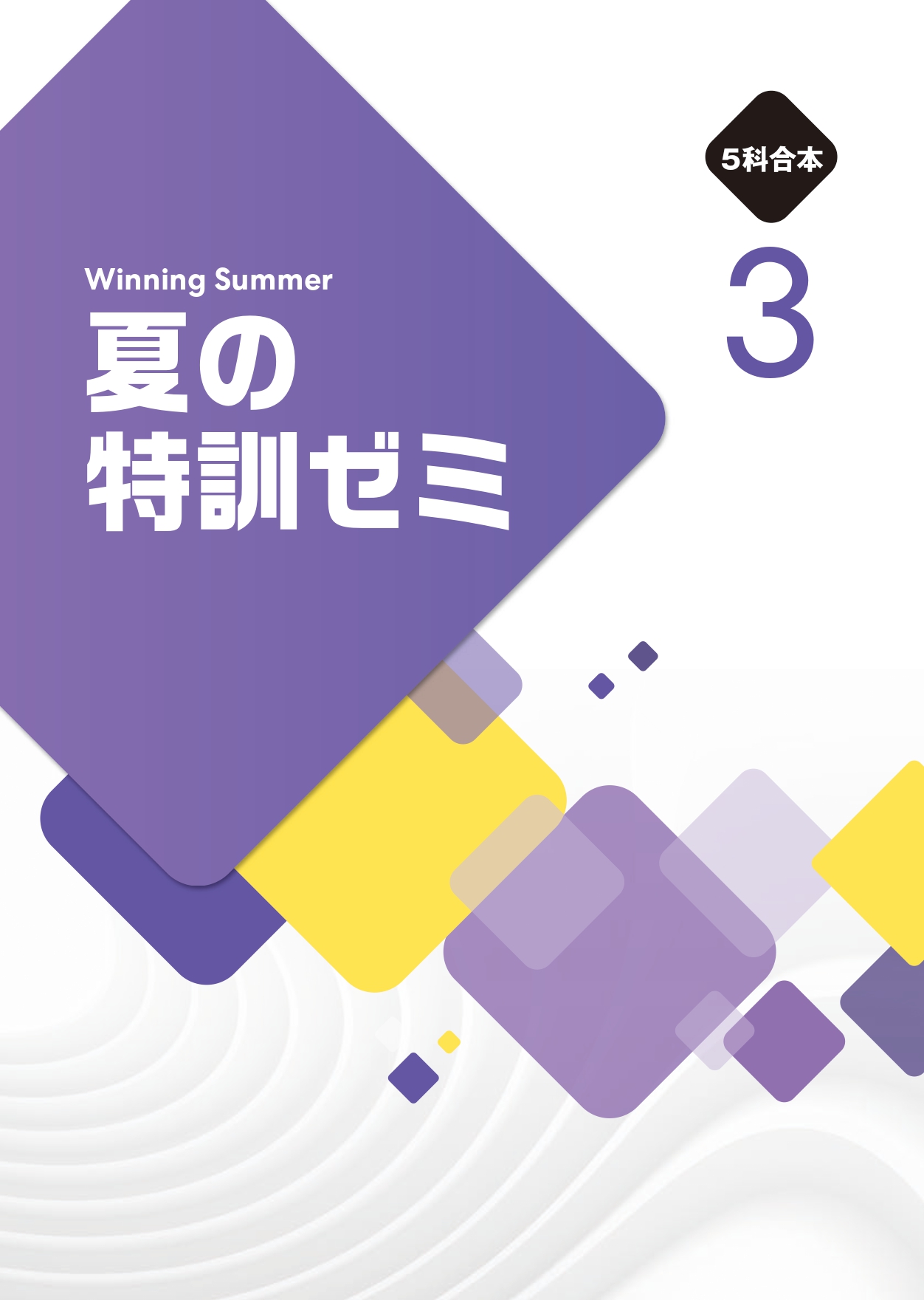 夏の特訓ゼミ 5科合本
