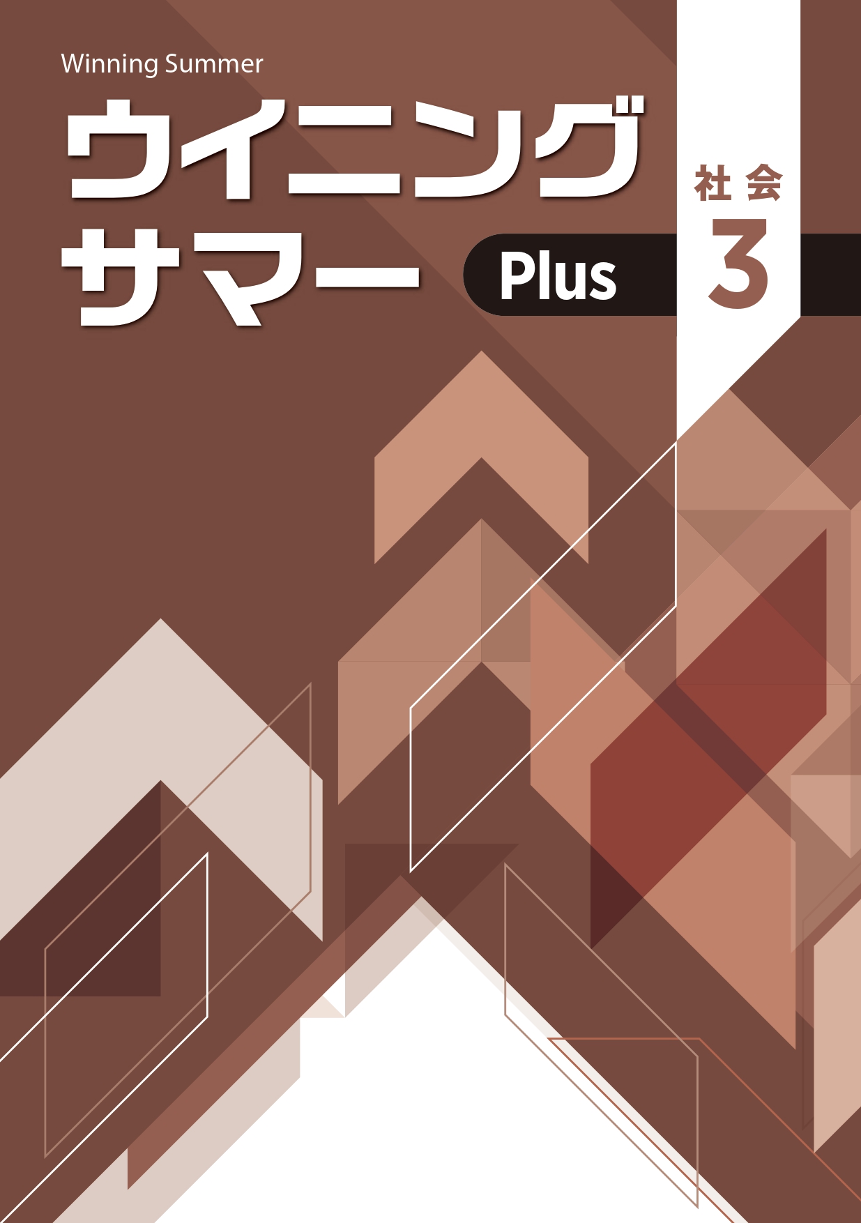 ウイニングサマーPlus 社会